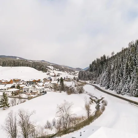 Top- 4 Star Apartment In Tamsweg Near Ski Area